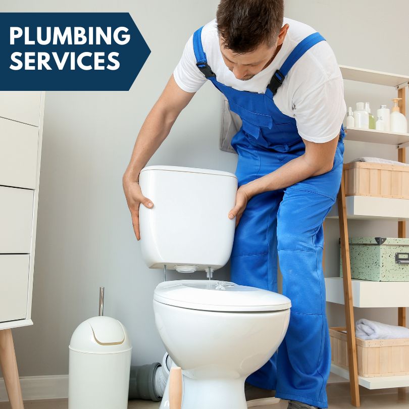Plumbing Company in Mesick, MI